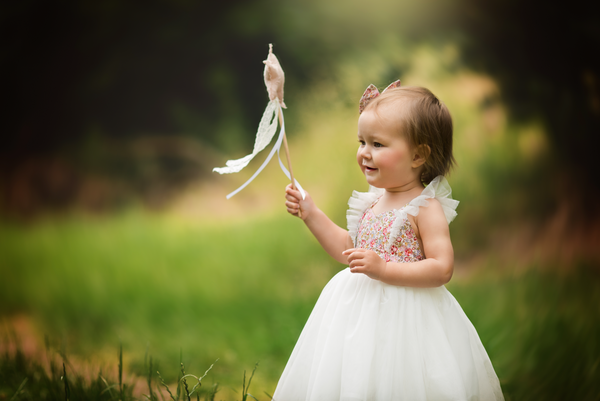 Fairy Tutu Dress + Bow - Rosetta